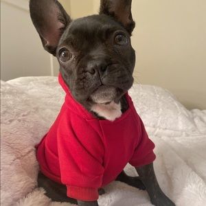 Meet your Posher, Armida